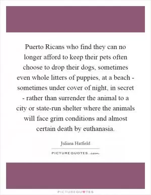 Puerto Ricans who find they can no longer afford to keep their pets often choose to drop their dogs, sometimes even whole litters of puppies, at a beach - sometimes under cover of night, in secret - rather than surrender the animal to a city or state-run shelter where the animals will face grim conditions and almost certain death by euthanasia Picture Quote #1