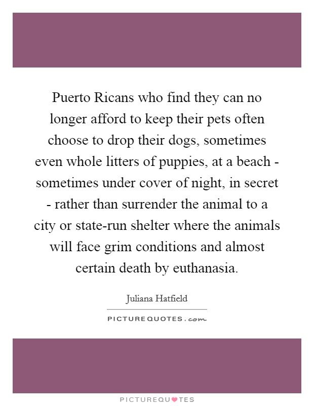 Puerto Ricans who find they can no longer afford to keep their pets often choose to drop their dogs, sometimes even whole litters of puppies, at a beach - sometimes under cover of night, in secret - rather than surrender the animal to a city or state-run shelter where the animals will face grim conditions and almost certain death by euthanasia. Picture Quote #1