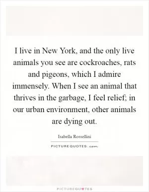 I live in New York, and the only live animals you see are cockroaches, rats and pigeons, which I admire immensely. When I see an animal that thrives in the garbage, I feel relief; in our urban environment, other animals are dying out Picture Quote #1