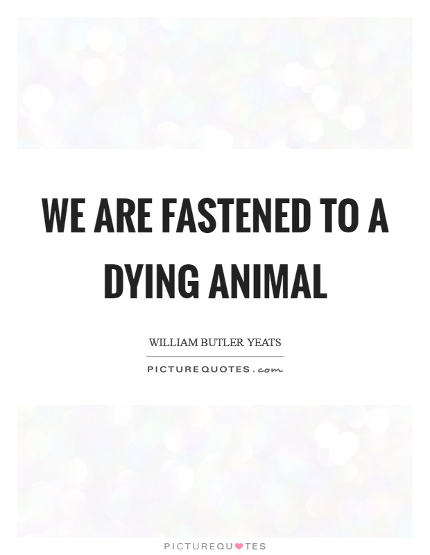 We are fastened to a dying animal Picture Quote #1