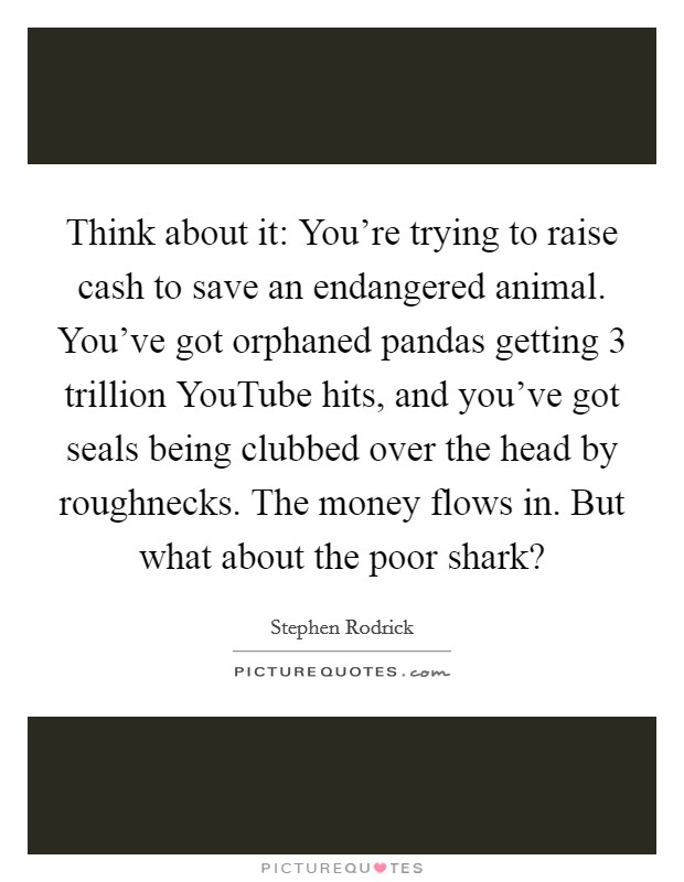 Think about it: You're trying to raise cash to save an endangered animal. You've got orphaned pandas getting 3 trillion YouTube hits, and you've got seals being clubbed over the head by roughnecks. The money flows in. But what about the poor shark? Picture Quote #1