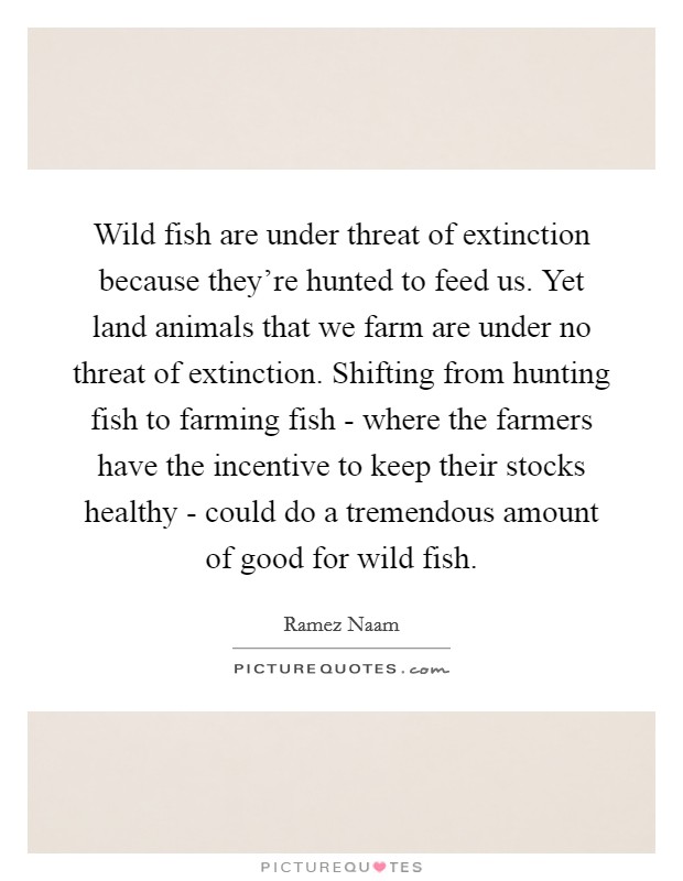 Wild fish are under threat of extinction because they're hunted to feed us. Yet land animals that we farm are under no threat of extinction. Shifting from hunting fish to farming fish - where the farmers have the incentive to keep their stocks healthy - could do a tremendous amount of good for wild fish. Picture Quote #1