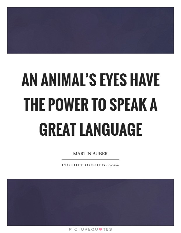 An animal's eyes have the power to speak a great language Picture Quote #1