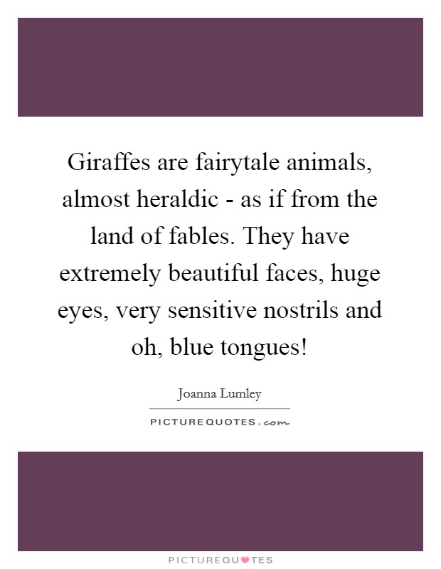 Giraffes are fairytale animals, almost heraldic - as if from the land of fables. They have extremely beautiful faces, huge eyes, very sensitive nostrils and oh, blue tongues! Picture Quote #1