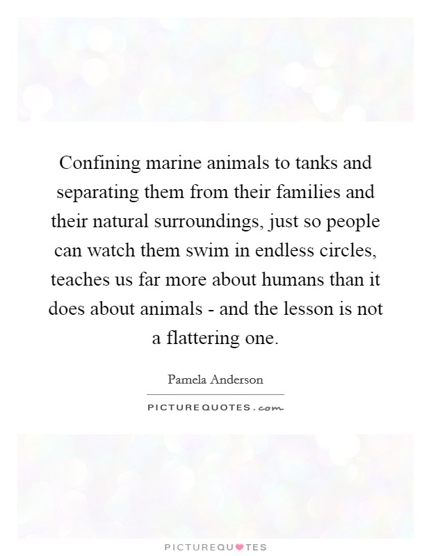 Confining marine animals to tanks and separating them from their families and their natural surroundings, just so people can watch them swim in endless circles, teaches us far more about humans than it does about animals - and the lesson is not a flattering one. Picture Quote #1
