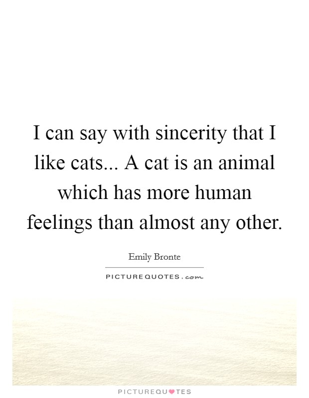 I can say with sincerity that I like cats... A cat is an animal which has more human feelings than almost any other. Picture Quote #1