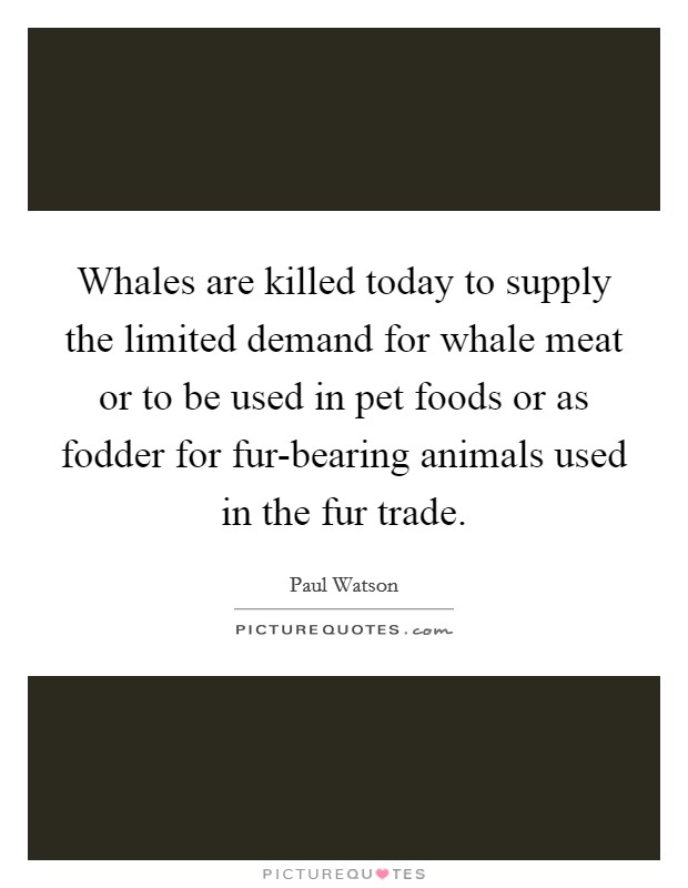 Whales are killed today to supply the limited demand for whale meat or to be used in pet foods or as fodder for fur-bearing animals used in the fur trade. Picture Quote #1
