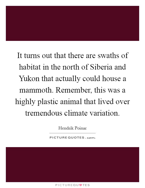 It turns out that there are swaths of habitat in the north of Siberia and Yukon that actually could house a mammoth. Remember, this was a highly plastic animal that lived over tremendous climate variation. Picture Quote #1