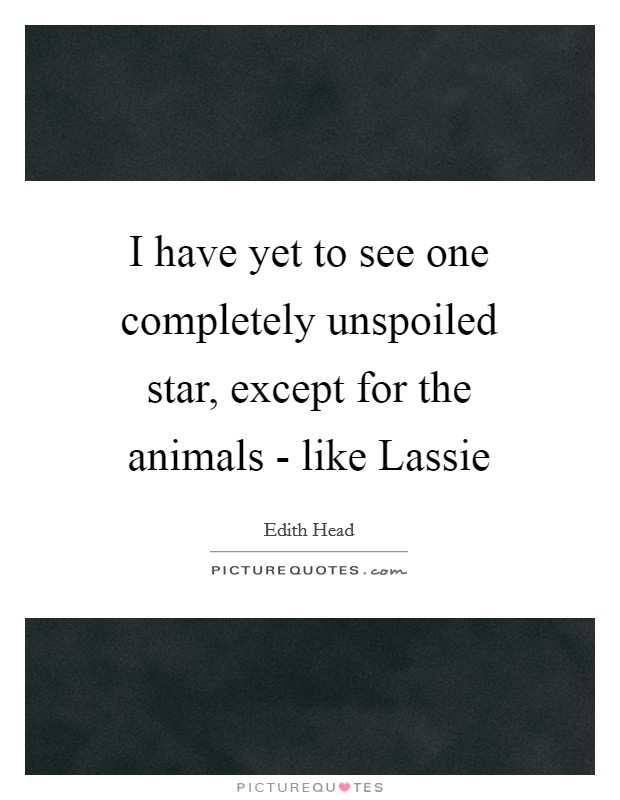 I have yet to see one completely unspoiled star, except for the animals - like Lassie Picture Quote #1