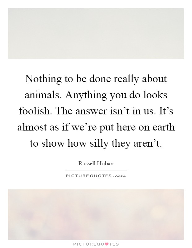 Nothing to be done really about animals. Anything you do looks foolish. The answer isn't in us. It's almost as if we're put here on earth to show how silly they aren't. Picture Quote #1