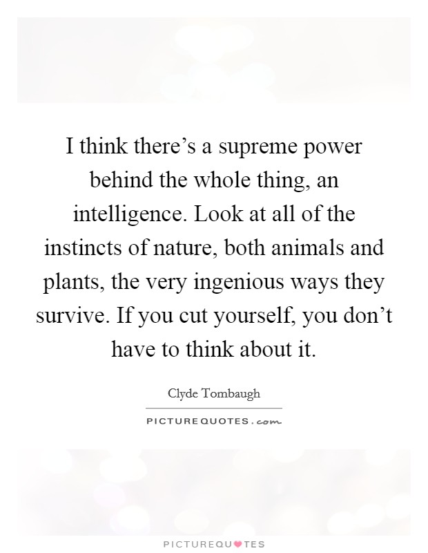 I think there's a supreme power behind the whole thing, an intelligence. Look at all of the instincts of nature, both animals and plants, the very ingenious ways they survive. If you cut yourself, you don't have to think about it. Picture Quote #1