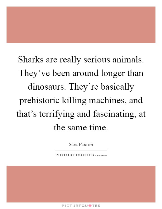 Sharks are really serious animals. They've been around longer than dinosaurs. They're basically prehistoric killing machines, and that's terrifying and fascinating, at the same time. Picture Quote #1
