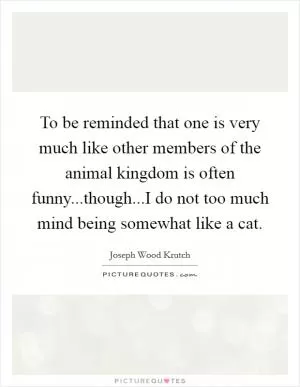 To be reminded that one is very much like other members of the animal kingdom is often funny...though...I do not too much mind being somewhat like a cat Picture Quote #1