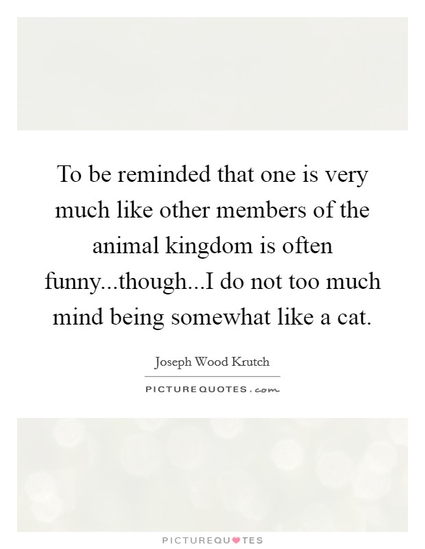 To be reminded that one is very much like other members of the animal kingdom is often funny...though...I do not too much mind being somewhat like a cat. Picture Quote #1