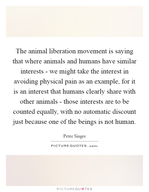 The animal liberation movement is saying that where animals and humans have similar interests - we might take the interest in avoiding physical pain as an example, for it is an interest that humans clearly share with other animals - those interests are to be counted equally, with no automatic discount just because one of the beings is not human. Picture Quote #1
