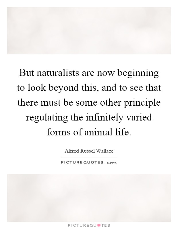 But naturalists are now beginning to look beyond this, and to see that there must be some other principle regulating the infinitely varied forms of animal life. Picture Quote #1