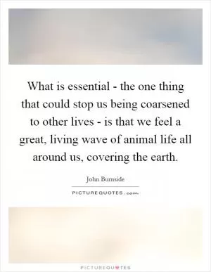What is essential - the one thing that could stop us being coarsened to other lives - is that we feel a great, living wave of animal life all around us, covering the earth Picture Quote #1