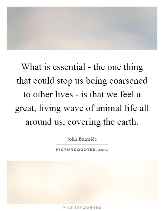 What is essential - the one thing that could stop us being coarsened to other lives - is that we feel a great, living wave of animal life all around us, covering the earth. Picture Quote #1