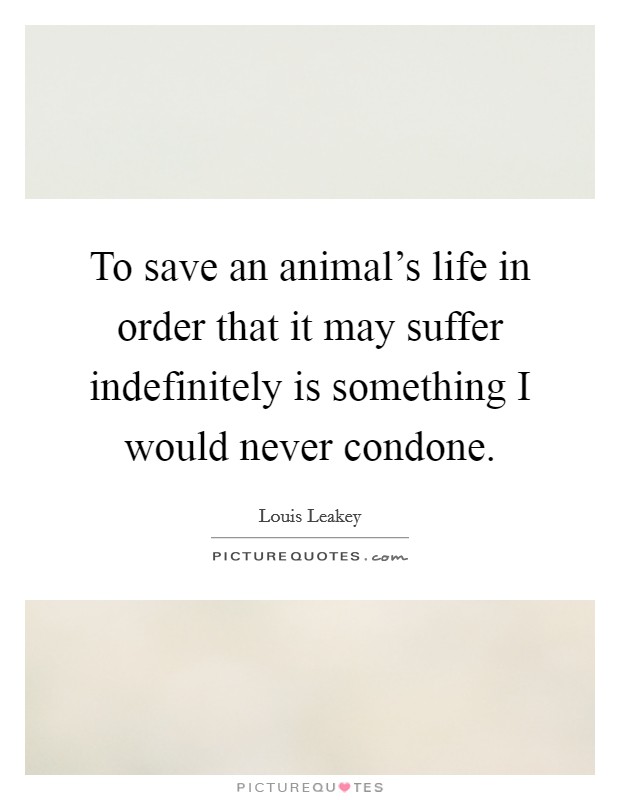 To save an animal's life in order that it may suffer indefinitely is something I would never condone. Picture Quote #1