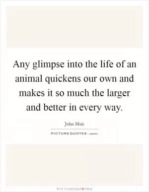 Any glimpse into the life of an animal quickens our own and makes it so much the larger and better in every way Picture Quote #1