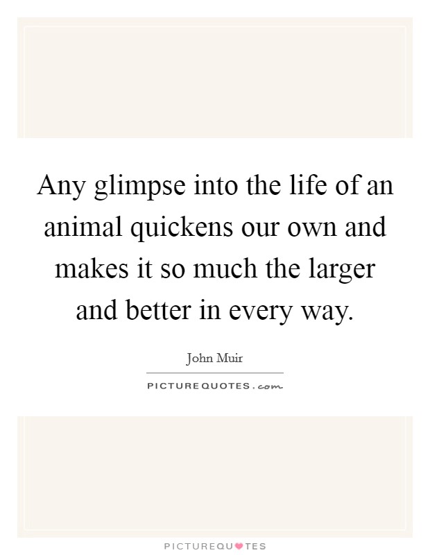 Any glimpse into the life of an animal quickens our own and makes it so much the larger and better in every way. Picture Quote #1