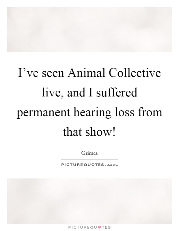 I've seen Animal Collective live, and I suffered permanent hearing loss from that show! Picture Quote #1