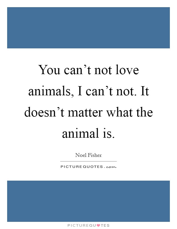 You can't not love animals, I can't not. It doesn't matter what the animal is. Picture Quote #1