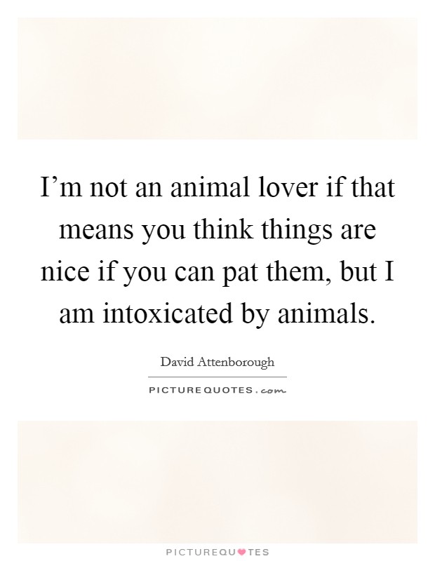 I'm not an animal lover if that means you think things are nice if you can pat them, but I am intoxicated by animals. Picture Quote #1