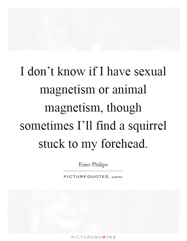 I don't know if I have sexual magnetism or animal magnetism, though sometimes I'll find a squirrel stuck to my forehead. Picture Quote #1