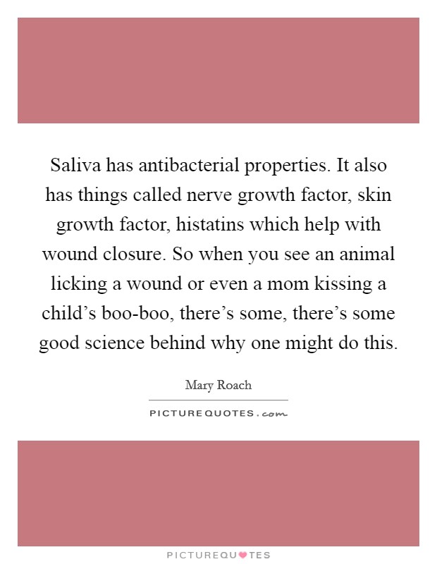 Saliva has antibacterial properties. It also has things called nerve growth factor, skin growth factor, histatins which help with wound closure. So when you see an animal licking a wound or even a mom kissing a child's boo-boo, there's some, there's some good science behind why one might do this. Picture Quote #1