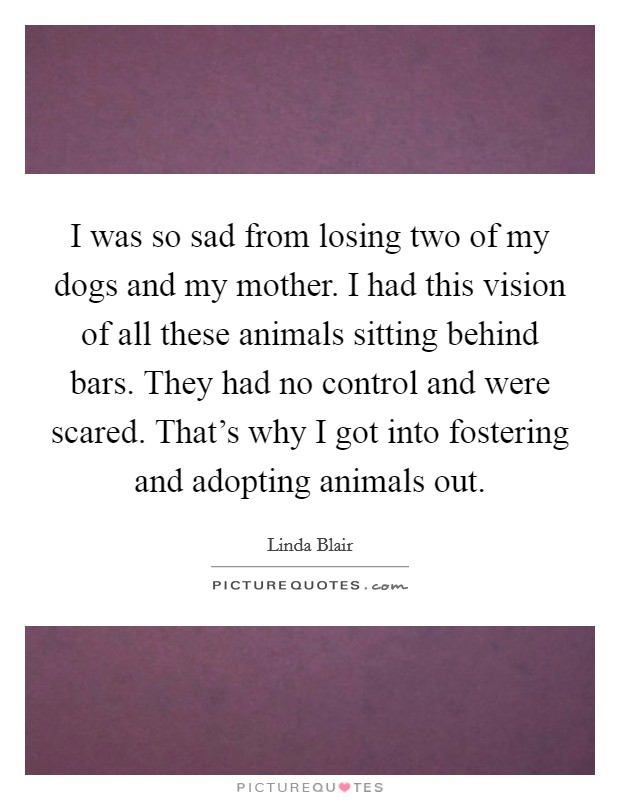 I was so sad from losing two of my dogs and my mother. I had this vision of all these animals sitting behind bars. They had no control and were scared. That's why I got into fostering and adopting animals out. Picture Quote #1