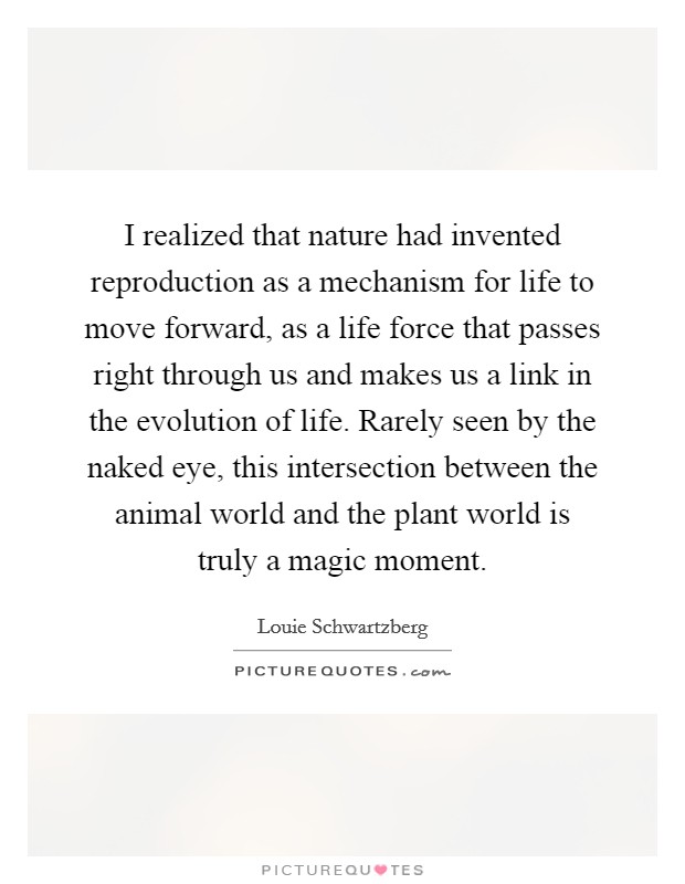 I realized that nature had invented reproduction as a mechanism for life to move forward, as a life force that passes right through us and makes us a link in the evolution of life. Rarely seen by the naked eye, this intersection between the animal world and the plant world is truly a magic moment. Picture Quote #1