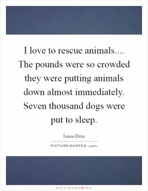 I love to rescue animals.... The pounds were so crowded they were putting animals down almost immediately. Seven thousand dogs were put to sleep Picture Quote #1