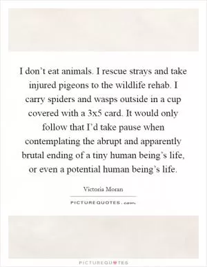 I don’t eat animals. I rescue strays and take injured pigeons to the wildlife rehab. I carry spiders and wasps outside in a cup covered with a 3x5 card. It would only follow that I’d take pause when contemplating the abrupt and apparently brutal ending of a tiny human being’s life, or even a potential human being’s life Picture Quote #1