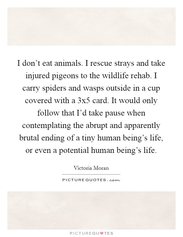 I don't eat animals. I rescue strays and take injured pigeons to the wildlife rehab. I carry spiders and wasps outside in a cup covered with a 3x5 card. It would only follow that I'd take pause when contemplating the abrupt and apparently brutal ending of a tiny human being's life, or even a potential human being's life. Picture Quote #1
