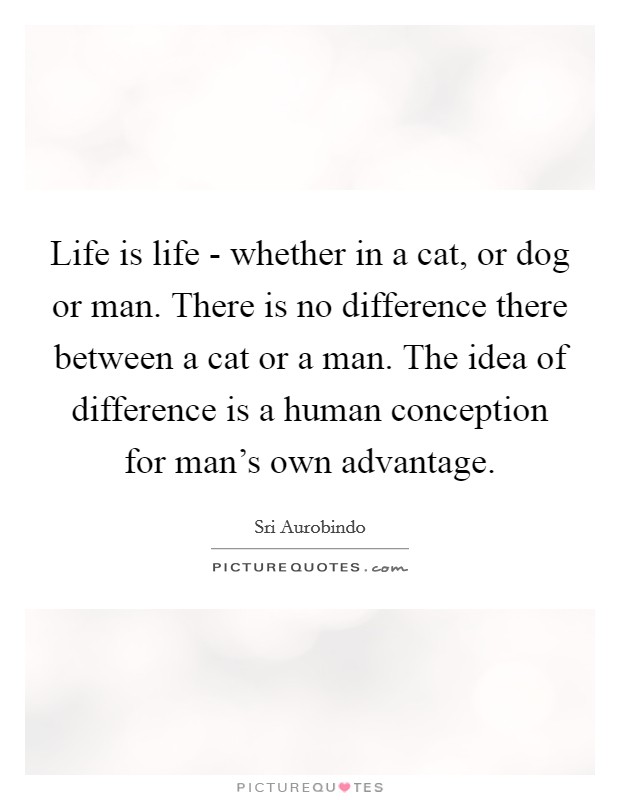 Life is life - whether in a cat, or dog or man. There is no difference there between a cat or a man. The idea of difference is a human conception for man's own advantage. Picture Quote #1