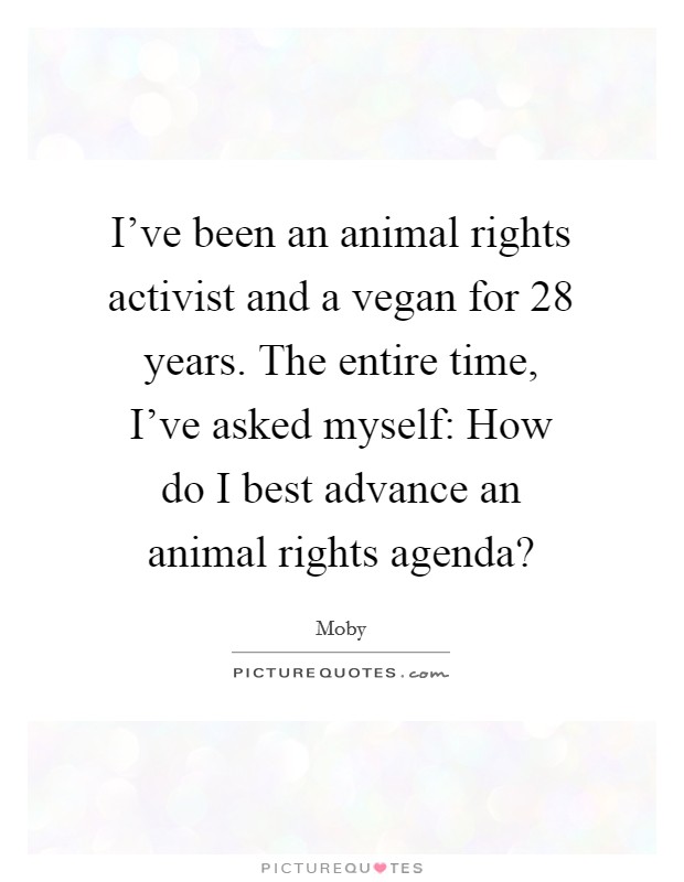 I've been an animal rights activist and a vegan for 28 years. The entire time, I've asked myself: How do I best advance an animal rights agenda? Picture Quote #1