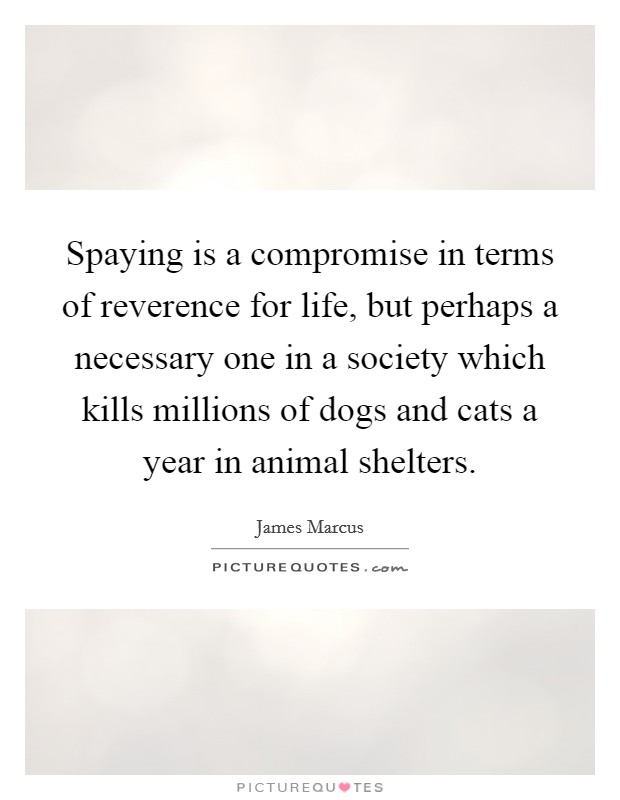 Spaying is a compromise in terms of reverence for life, but perhaps a necessary one in a society which kills millions of dogs and cats a year in animal shelters. Picture Quote #1