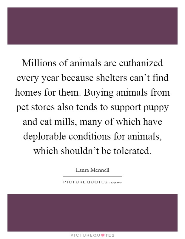 Millions of animals are euthanized every year because shelters can't find homes for them. Buying animals from pet stores also tends to support puppy and cat mills, many of which have deplorable conditions for animals, which shouldn't be tolerated. Picture Quote #1