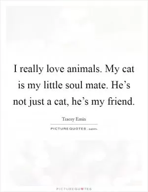 I really love animals. My cat is my little soul mate. He’s not just a cat, he’s my friend Picture Quote #1