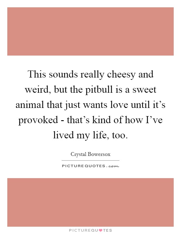 This sounds really cheesy and weird, but the pitbull is a sweet animal that just wants love until it's provoked - that's kind of how I've lived my life, too. Picture Quote #1