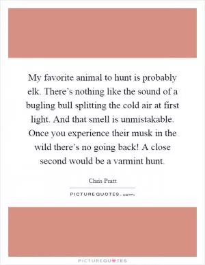 My favorite animal to hunt is probably elk. There’s nothing like the sound of a bugling bull splitting the cold air at first light. And that smell is unmistakable. Once you experience their musk in the wild there’s no going back! A close second would be a varmint hunt Picture Quote #1