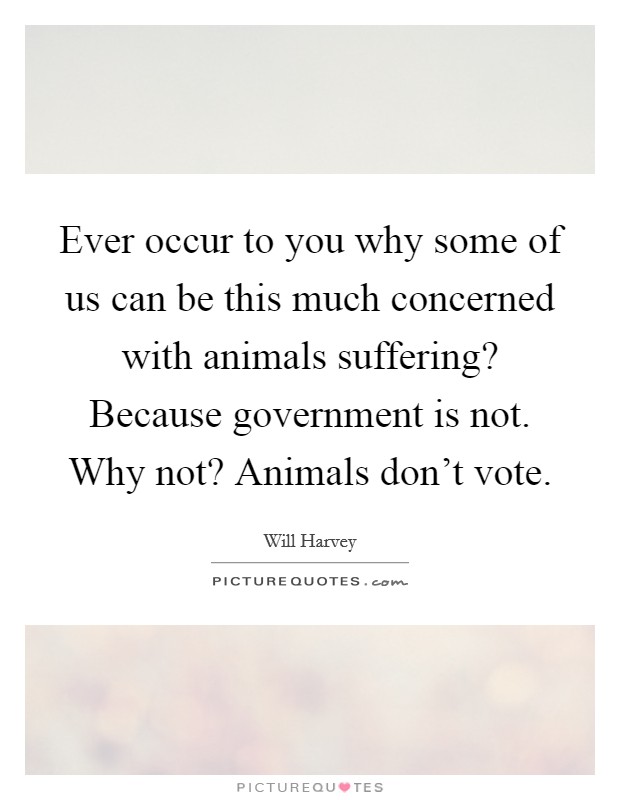 Ever occur to you why some of us can be this much concerned with animals suffering? Because government is not. Why not? Animals don't vote. Picture Quote #1