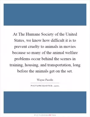 At The Humane Society of the United States, we know how difficult it is to prevent cruelty to animals in movies because so many of the animal welfare problems occur behind the scenes in training, housing, and transportation, long before the animals get on the set Picture Quote #1