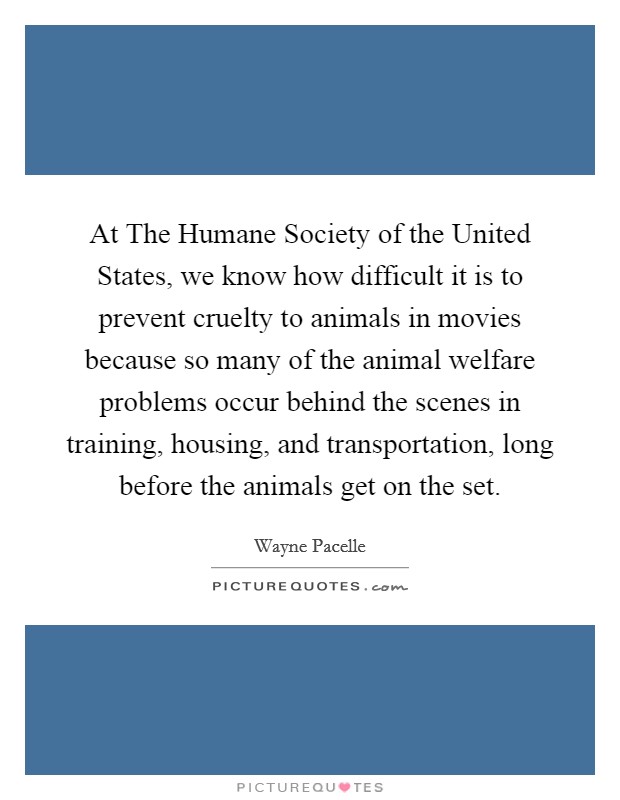 At The Humane Society of the United States, we know how difficult it is to prevent cruelty to animals in movies because so many of the animal welfare problems occur behind the scenes in training, housing, and transportation, long before the animals get on the set. Picture Quote #1