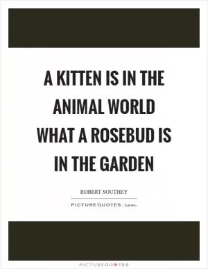A kitten is in the animal world what a rosebud is in the garden Picture Quote #1