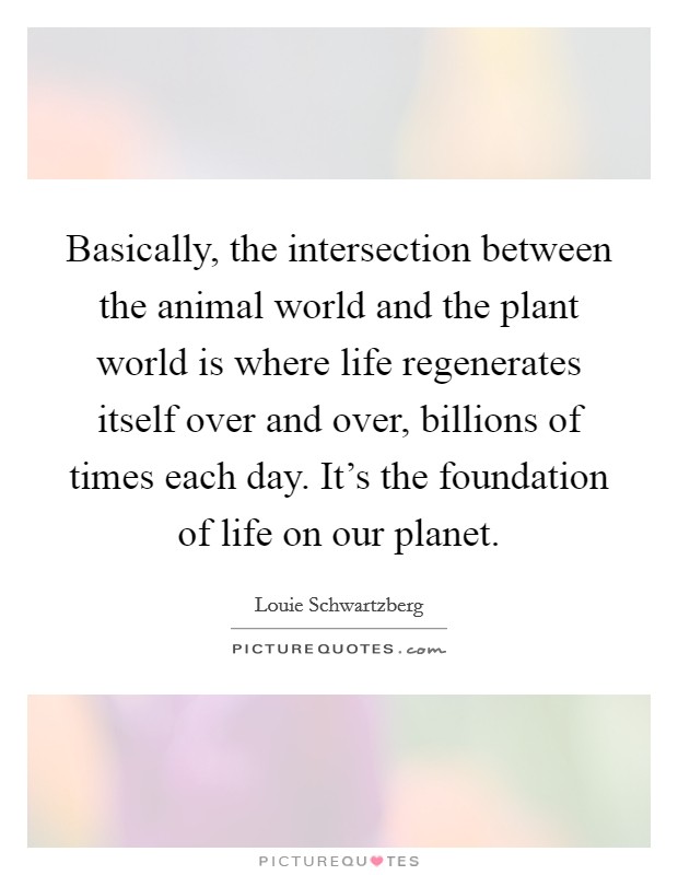 Basically, the intersection between the animal world and the plant world is where life regenerates itself over and over, billions of times each day. It's the foundation of life on our planet. Picture Quote #1