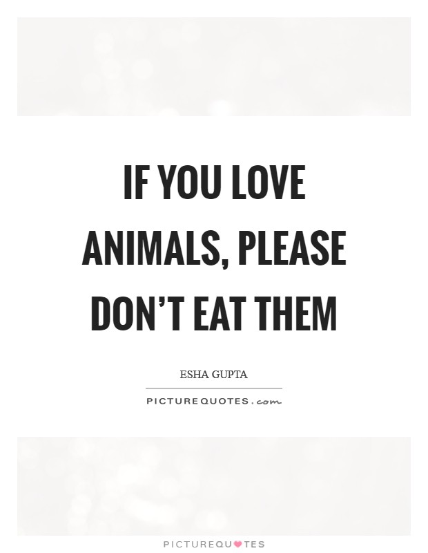 If you love animals, please don't eat them Picture Quote #1