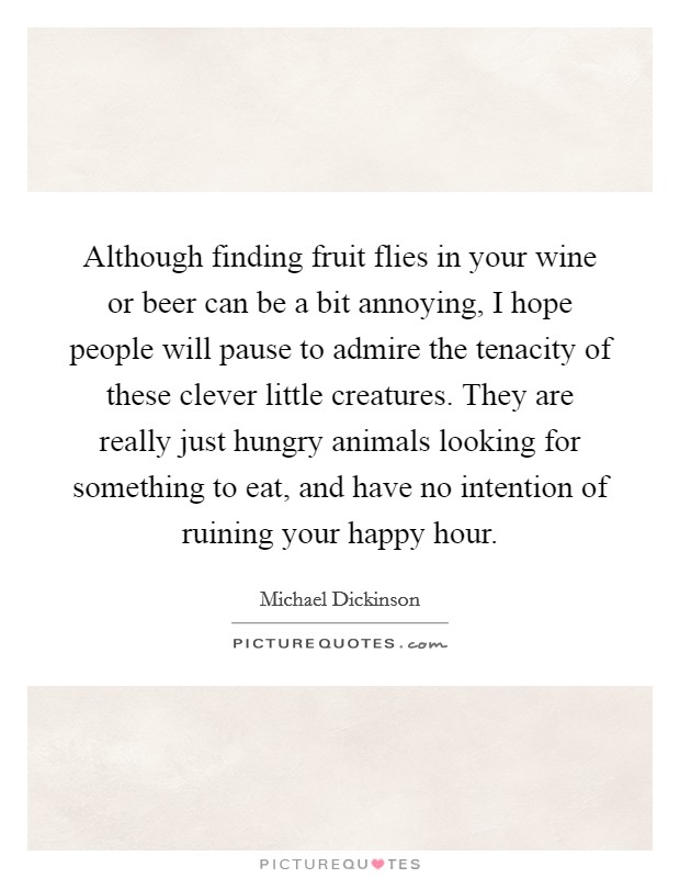 Although finding fruit flies in your wine or beer can be a bit annoying, I hope people will pause to admire the tenacity of these clever little creatures. They are really just hungry animals looking for something to eat, and have no intention of ruining your happy hour. Picture Quote #1