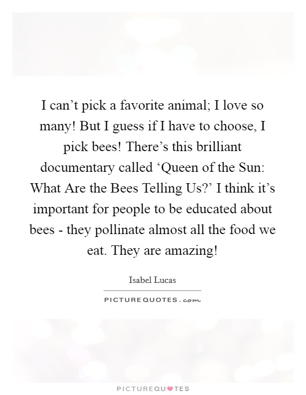 I can't pick a favorite animal; I love so many! But I guess if I have to choose, I pick bees! There's this brilliant documentary called ‘Queen of the Sun: What Are the Bees Telling Us?' I think it's important for people to be educated about bees - they pollinate almost all the food we eat. They are amazing! Picture Quote #1